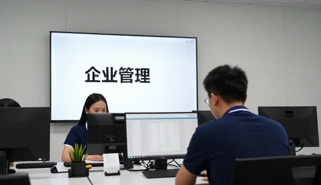 项目咨询如何推动企业财税优化方案效率提升